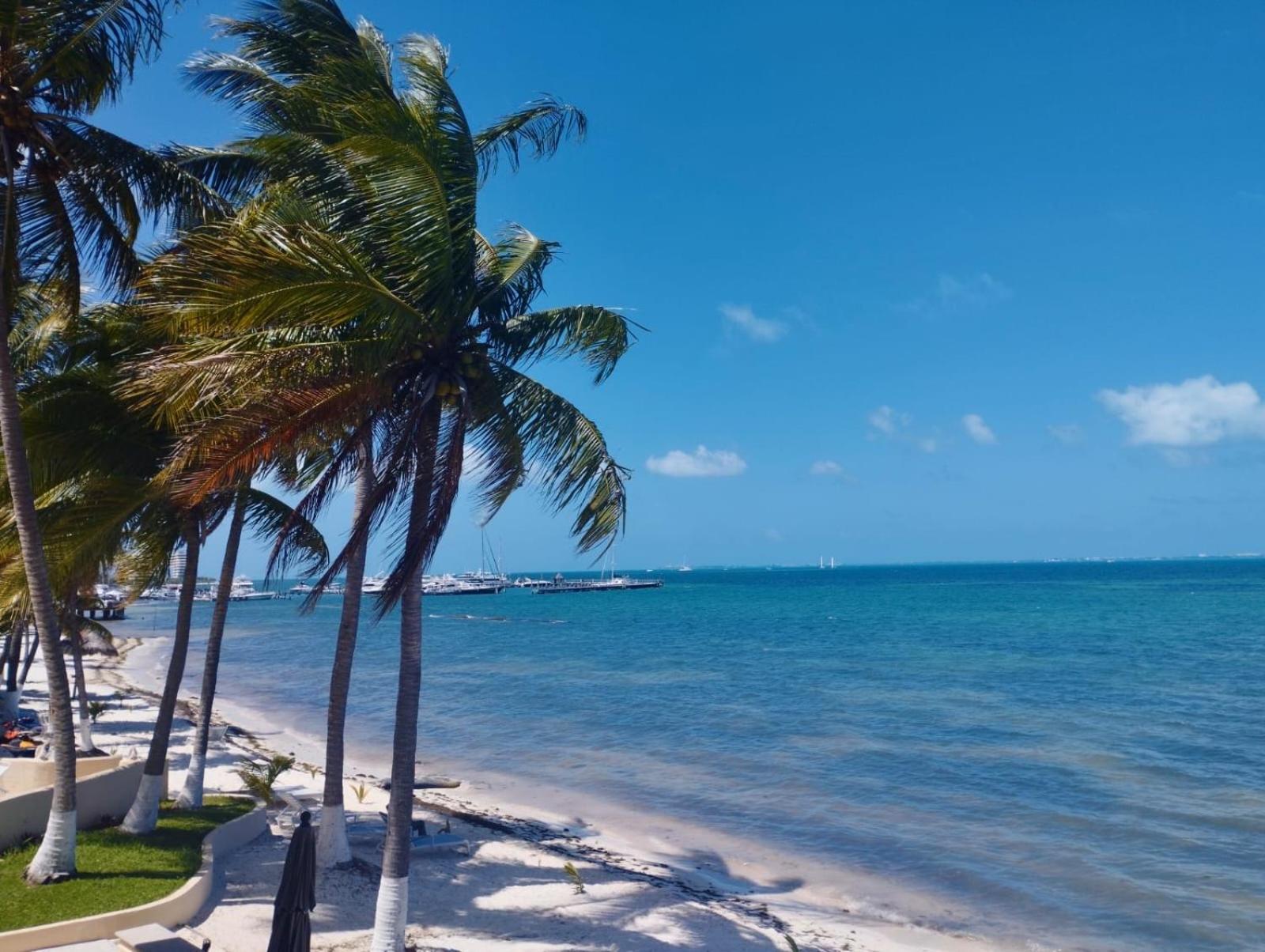 Cancun Ocean View Playa Del Nino Room photo